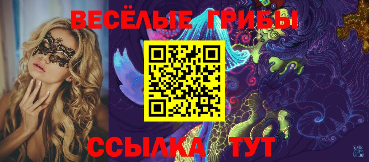 Галлюциногенные грибы мухоморы Вышний Волочёк