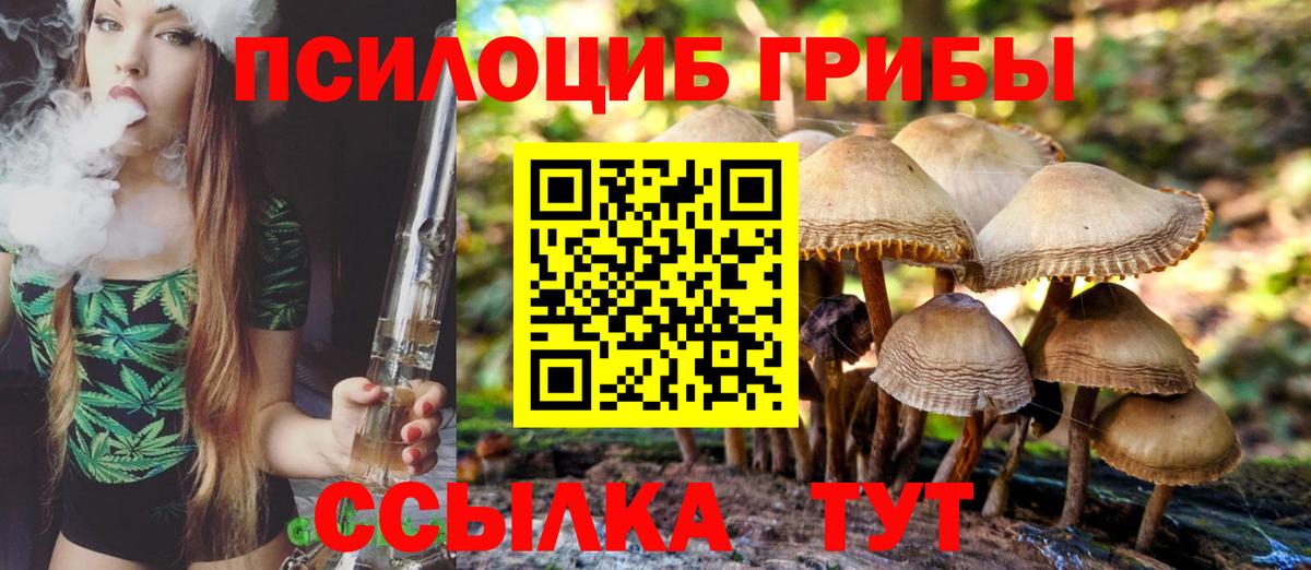 Галлюциногенные грибы Magic Shrooms  Вышний Волочёк 