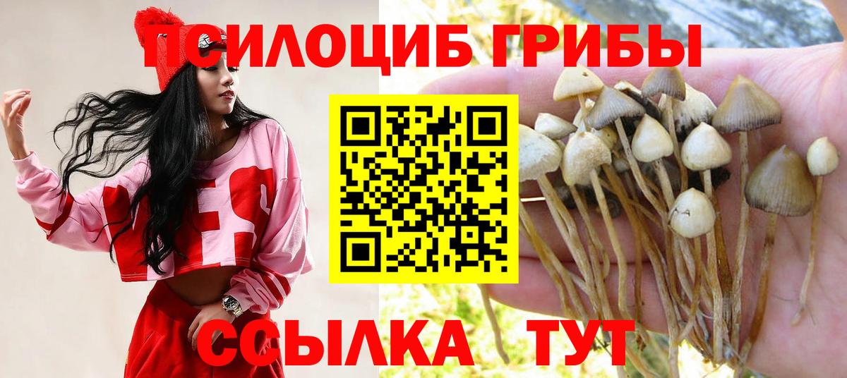 Псилоцибиновые грибы ЛСД Вышний Волочёк