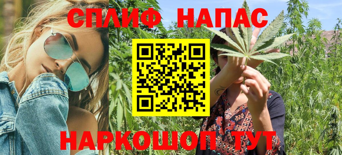 Каннабис план Вышний Волочёк